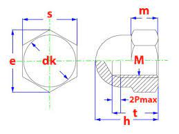 Zeskant dopmoer DIN1587 inox M6 (4st)