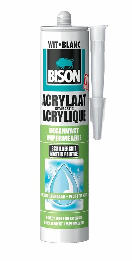 Bison acrylaatkit regenvast wit 310ml